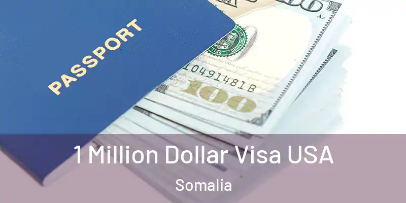  1 Million Dollar Visa USA Somalia