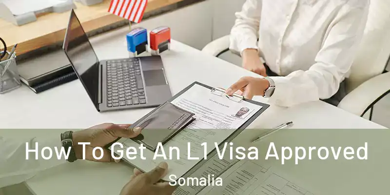  How To Get An L1 Visa Approved Somalia