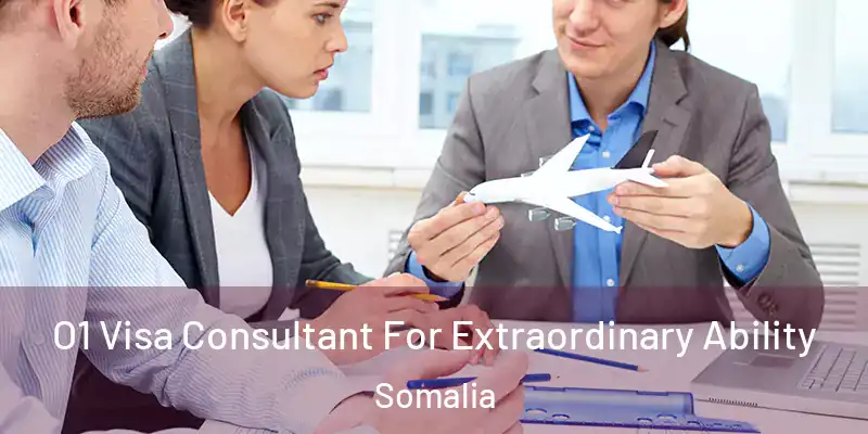  O1 Visa Consultant For Extraordinary Ability Somalia