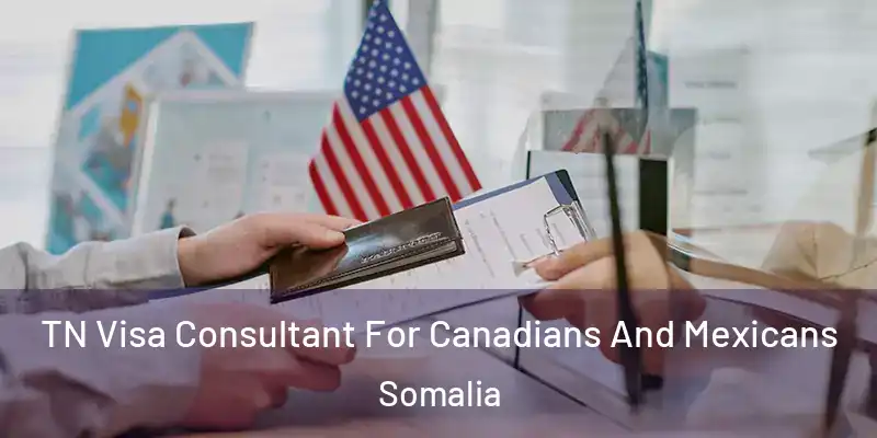  TN Visa Consultant For Canadians And Mexicans Somalia