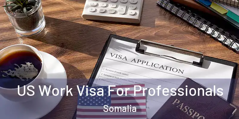  US Work Visa For Professionals Somalia